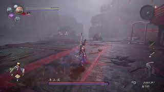 ［仁王2］初見ヘタクソプレイpart 20  嵐凪ぐ笛声