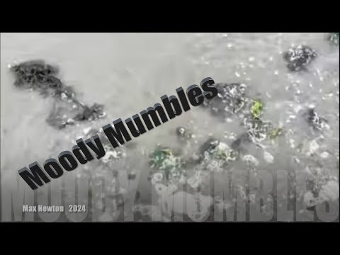 Moody Mumbles