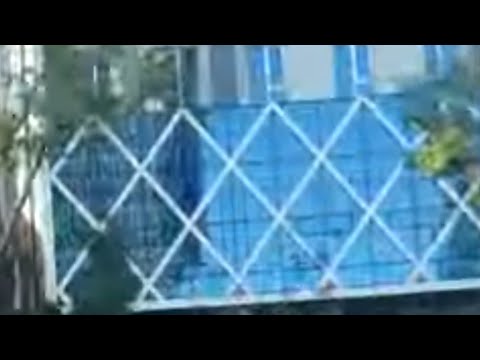 🇰🇷 ♥ ️Adoro passeio de ônibus para Apgujeong-ro, Sinsa-dong, Garosu-gil, Gangnam-gu, Seul, República da Coreia