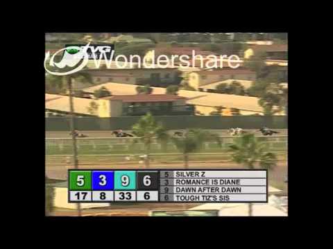 Zenyatta: Race 7, Clement L. Hirsch Stakes 8/2/2008