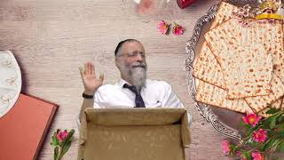 15 כללים לליל הסדר - הרב מיכאל לסרי