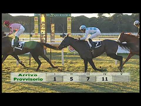 2020-01-12 Corsa 5 Metri 1200 Premio Livermore