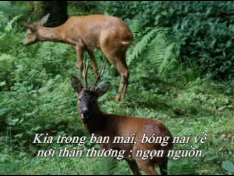 Mạch suối nguồn - Tuấn Ngọc