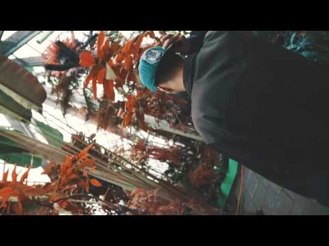 LTZOO X HDZ - NE TAM KAD DINGT