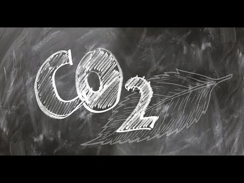 Effetti degli aumenti di CO2 in atmosfera - Liceo Curie Tradate