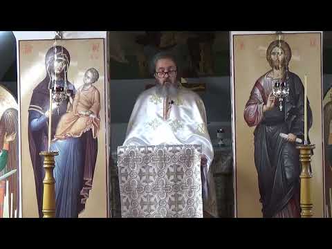 Maica Domnului și pustnicul Ioan David de la Strungari – Pr. Dan Popovici