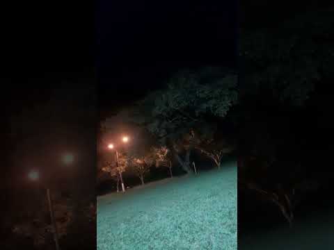 frio em siqueira campos parana