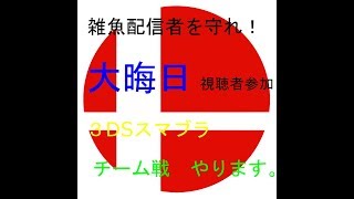 【3DSスマブラ】大晦日のチーム戦　録画