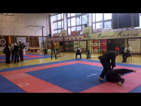 18. MČR AKJ Strakonice 2014 J. Viták