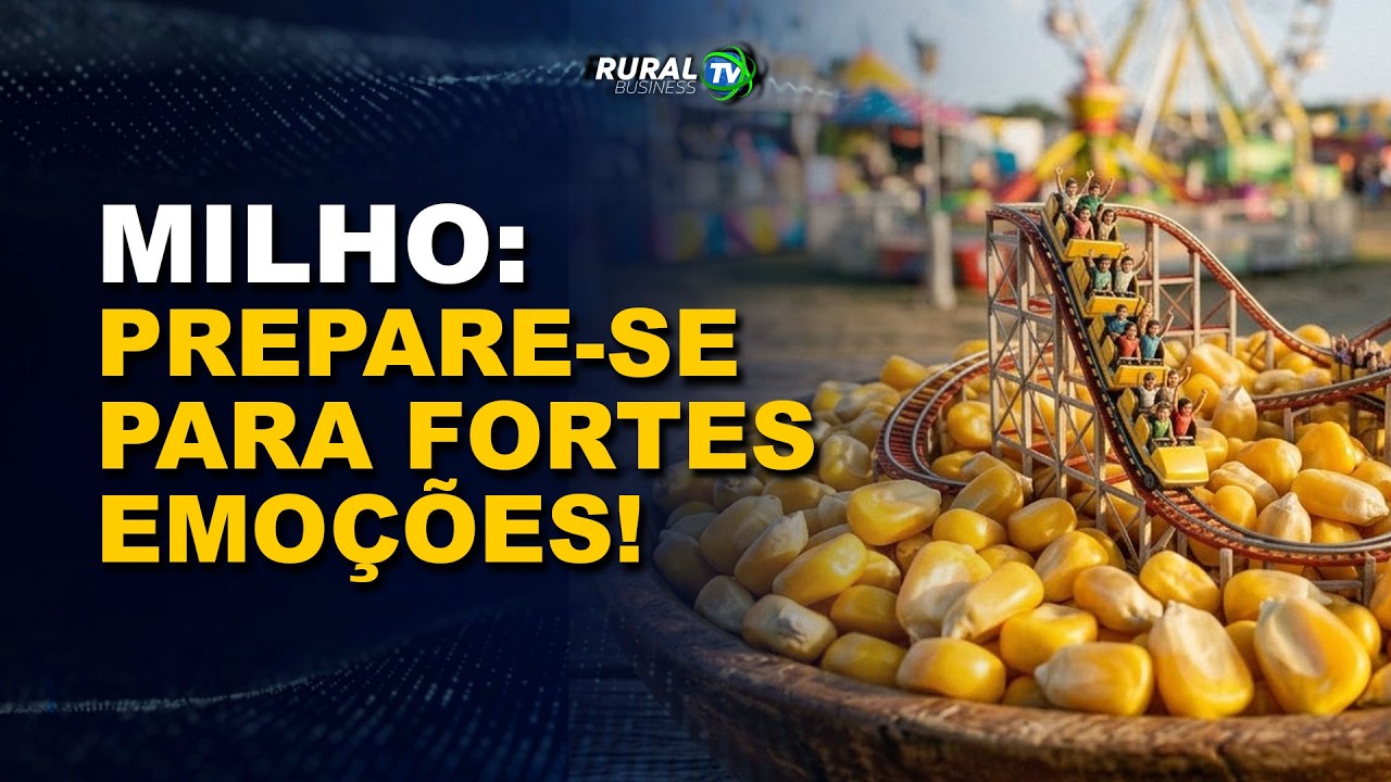 MILHO: PREPARE-SE PARA FORTES EMOÇÕES!