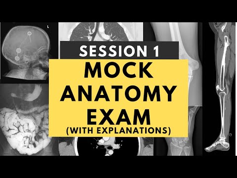 Radiology anatomy practice test: Session 1 (with answers and explanations)
