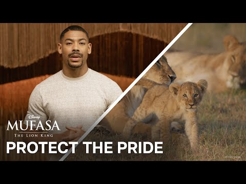 Protect The Pride