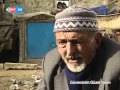 Guvercinim Guzel Yarim BL 03 Kaypen Avi