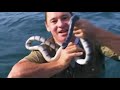 Steve Irwin Surfing In Bali