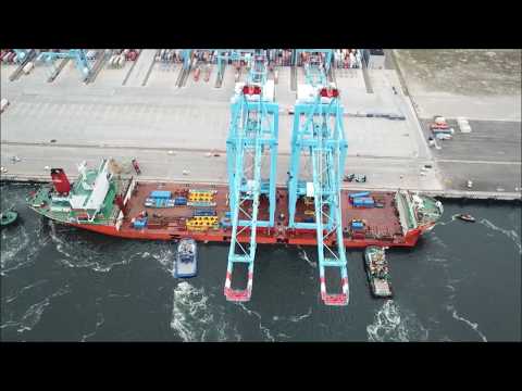 Expansion at APM Terminals Maasvlakte II in Rotterdam commences