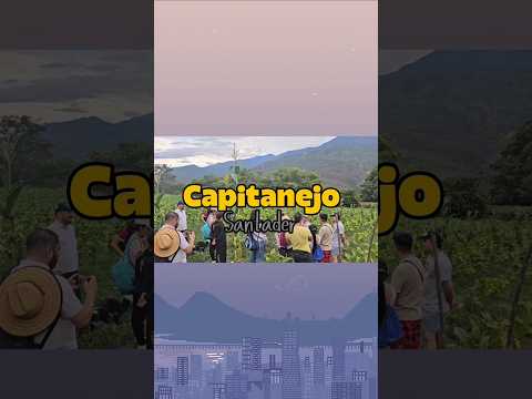 Así es el RAFTING en CAPITANEJO 🚣🏽🔥