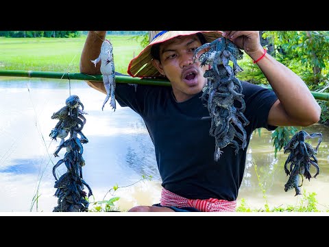 Deep Fried Frogs - Finding Frogs for Cooking And Eat Deliciously
