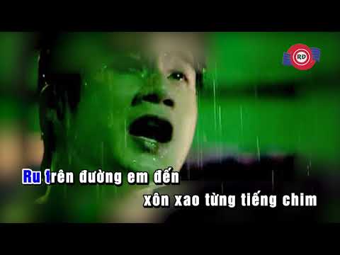 Ru Tình (Karaoke) - Quang Dũng