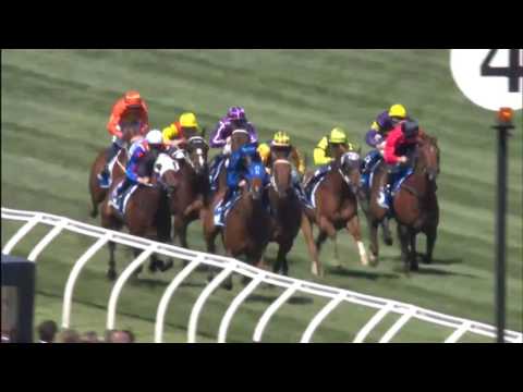 Shamardal's Delectation wins the G1 Darley Classic at Flemington