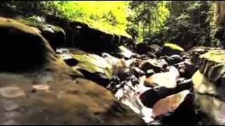 preview picture of video 'Parque Nacional Natural Cueva de los Guácharos'