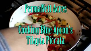 preview picture of video 'Making Tilapia Piccata - Testing Out Blue Apron'