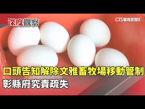 「口頭告知」解除文雅畜牧場移動管制　彰縣府究責疏失