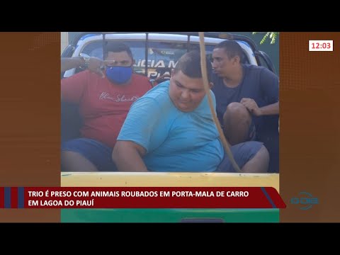 Trio eÌ preso com animais roubados em porta malas de carro em Lagoa do PiauiÌ 26 08 2021
