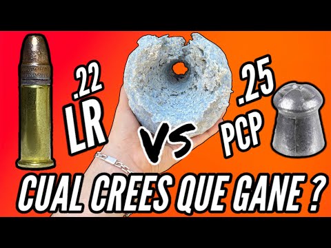 Too much power ‼️ .22 lr vs .25 pcp JTS airacuda max