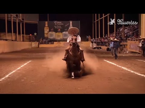 The 5 best Calas de Caballo in the 2015 Millionaire Tournament