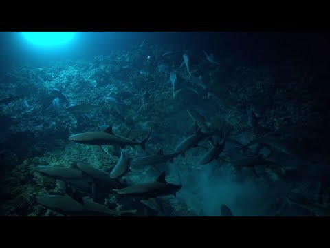 Gombessa IV Genesis - Episode 18