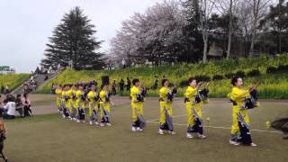 preview picture of video '鯖江音頭②　福井県鯖江市なばな祭り20120415'