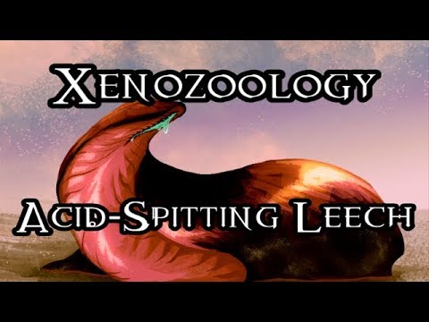 Xenozoology: Acid-Spitting Leech - 40K Theories