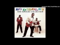 Bo Diddley - I Am Looking For a Woman