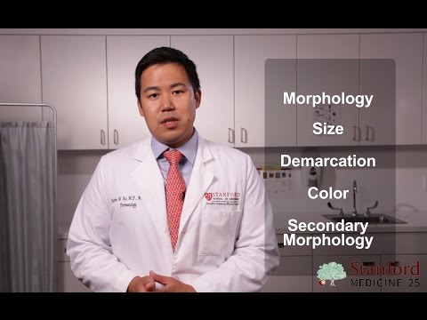 Approach to the Dermatology Exam (Stanford Medicine 25)