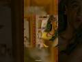 Kabutar Sanyamalhotra  Funnymoments  Funnyvideo  Comedy  Comedyvideo  Viralreels Comedyshow 