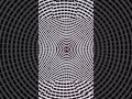 This illusion WILL break the internet!🎃🤯#creepy#trythis
