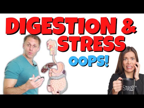 What Stress is Really Doing to Your Digestive System
