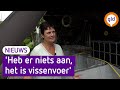 Visbedrijf baalt: duizenden kreeften uit Ede dood door onkunde