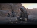 DUNE: Meditate with Stilgar - DEEP Relaxation Ambient Music for Focus & Meditation | FREMEN MUSIC