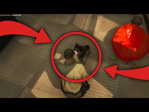 GTA RP #87 | SKOWRON I PIES POLICYJNY - NAJLEPSI PRZYJACIELE? | WYSPARP.PL