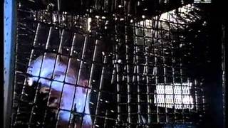 Machines Of Loving Grace - Butterfly Wings