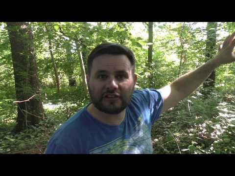 Harte und schwer Zeiten, eine Chance für eine Beförderung!