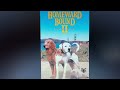 Happy 27th Anniversary Homeward Bound II Lost In San Francisco