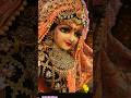 Koi Jaye Jo Vrindavan Mera Paigam Le Jana Shorts Krishnabhajan Bhakti HariOmBhaktiGaan
