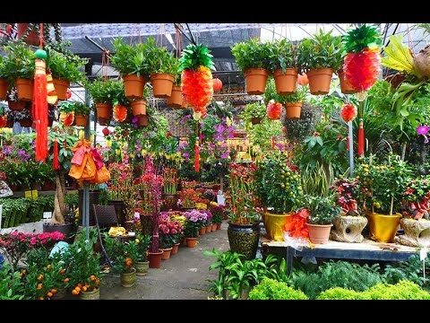 Sungai Buloh Nursery During Chinese New Year 双溪毛糯农历新年花圃