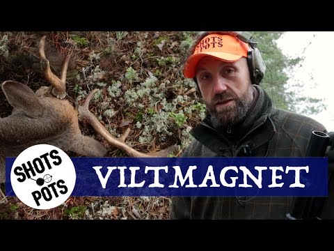 OMRINGAD AV VILT - Lubbe får ett bra pass i skogen (Eng. subs.)