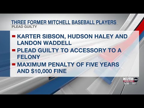 Plea Deal Entered In Mitchell Baseball Rape Case