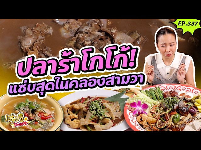 “ยำแหลก ปลาแดกเลิศ” ปลาร้าต้มใส่ผงโกโก้! แซ่บนัว |เศรษฐีป้ายแดง | EP.337 | 27 ก.ย 69