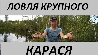 Где и как ловить карася в июле