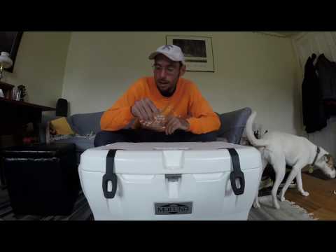 Best Fishing Cooler? Maluna 50 QT Cooler Review